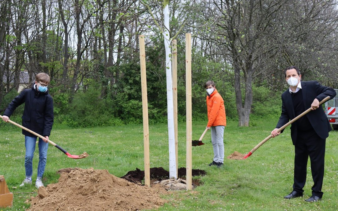 Eine Linde für das „Projekt Zukunft“: Schüler pflanzen einen Baum