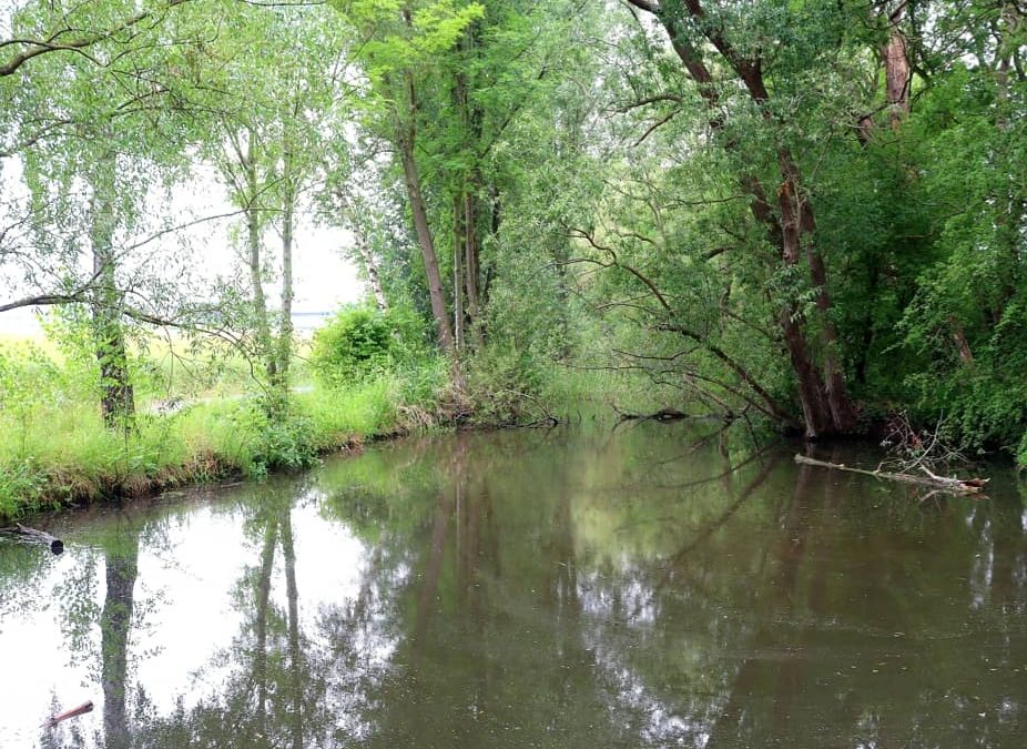 Pulheim auf dem Weg zur wassersensiblen Stadt