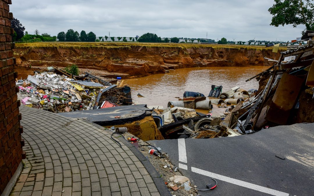 Die Kiesgrube in Erftstadt