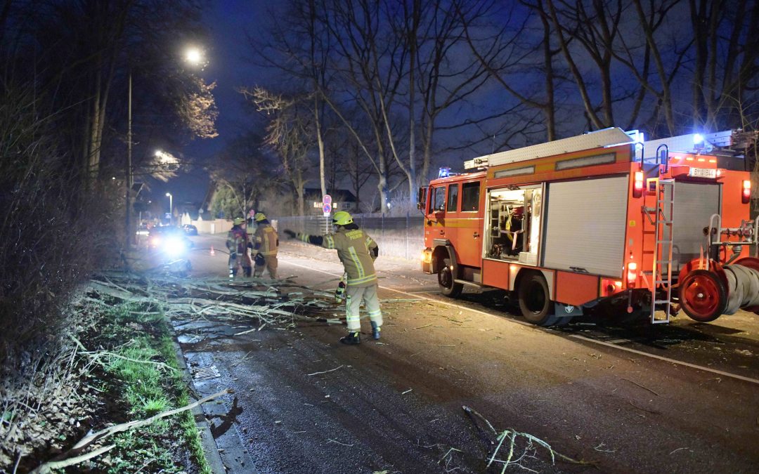 Sturm Zeynep zerstört Flachdach in Pulheim und entwurzelt Bäume