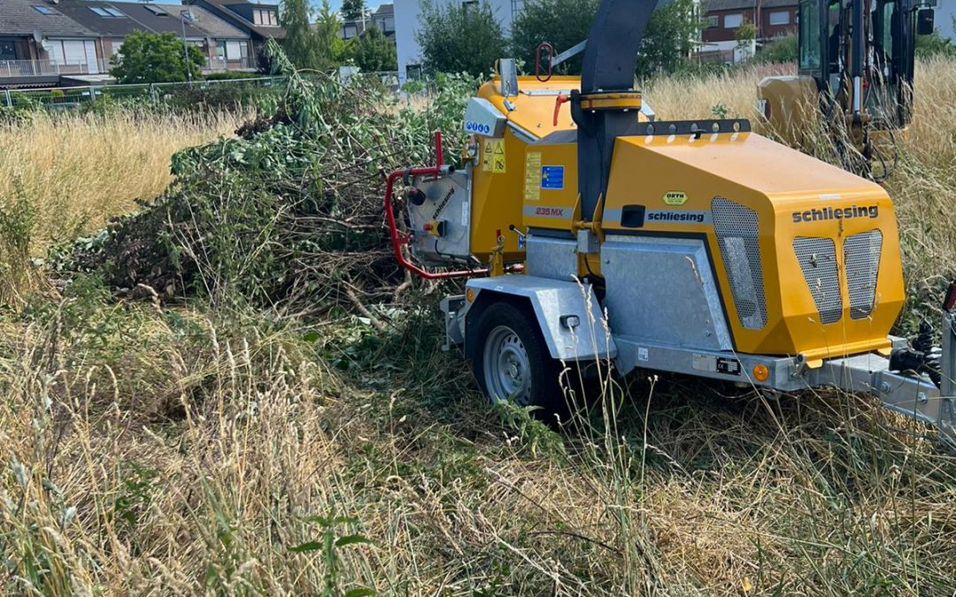 Wer hat das genehmigt? Umfangreiche Schnitt- und Rodungsarbeiten in der Vogelschutzzeit in Sinnersdorf – BVP hakt nach!