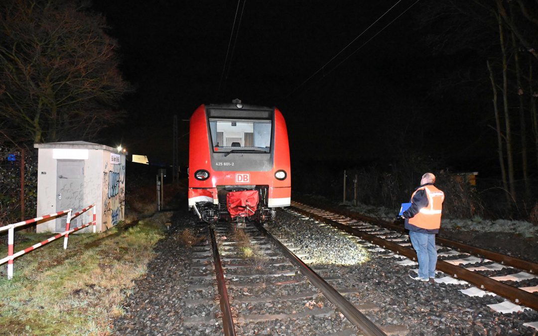 Pulheim: Pferde von Regionalexpress überrollt