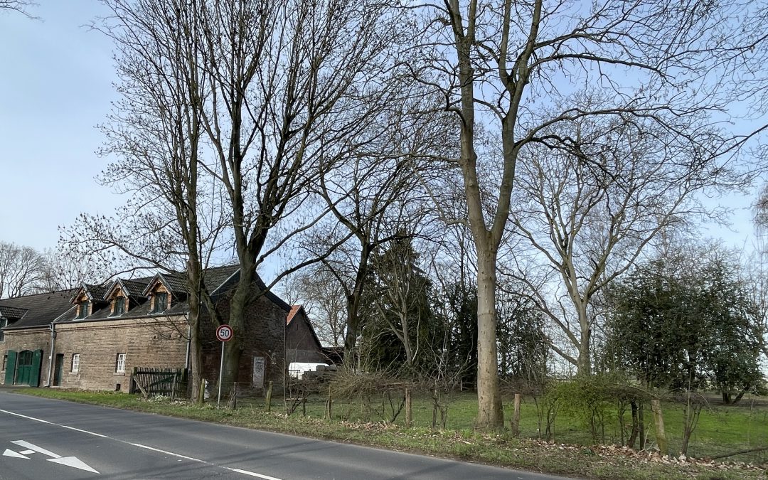 Grünlandverlust: Gras- und Weidefläche in Orr soll Schotterparkplatz weichen – Planungen an der Kommunalpolitik vorbei!