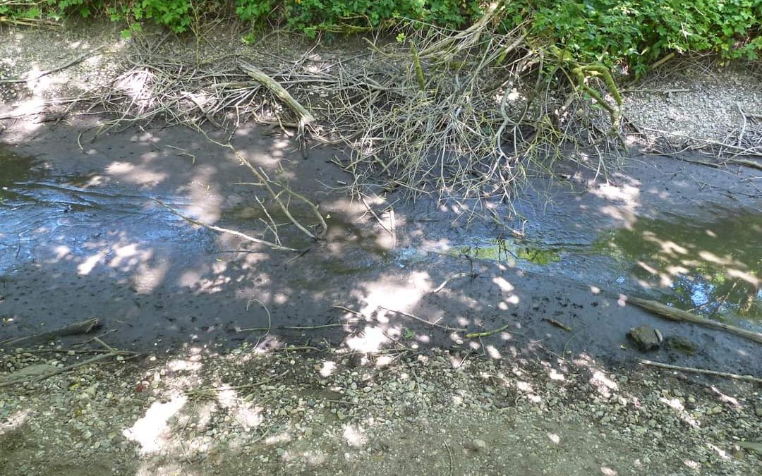 Sicherstellung einer Notwasserversorgung für das Naturschutzgebiet Große Laache – BVP stellt Dringlichkeitsantrag für den Rat