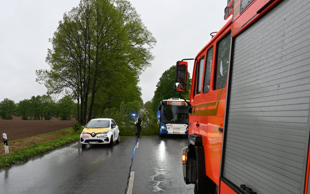 Sturmeinsätze beschäftigten die Feuerwehr