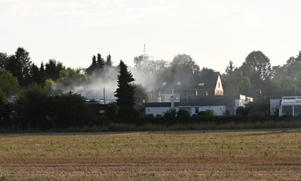 Heckenbrand bedroht Bungalow